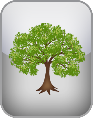 Abundance Mindset Test