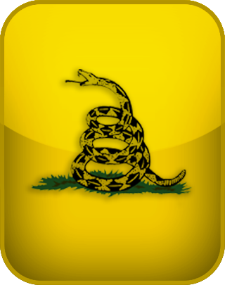 American Libertarianism Test