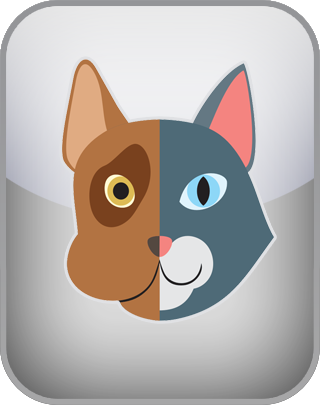 Cats or Dogs Test