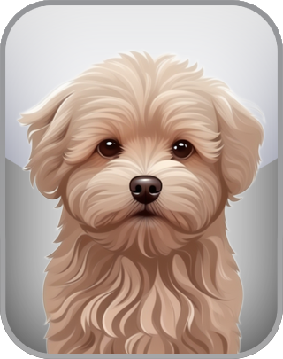 Dog Breed Test
