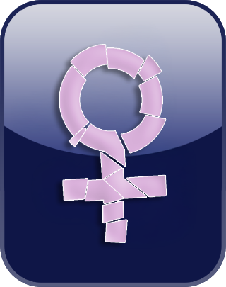 Internalized Misogyny Scale (IMS) Test