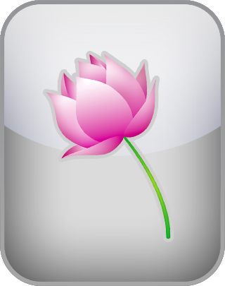 Trait Mindfulness Test