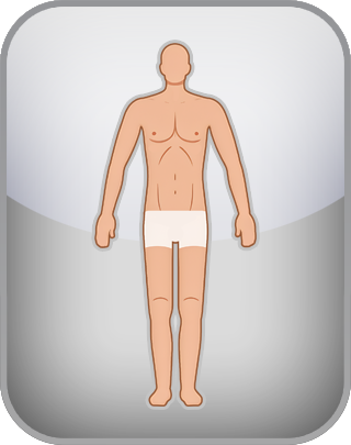Somatotype Test