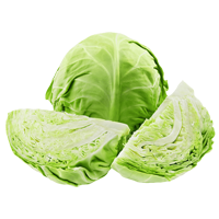 test item