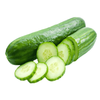 test item