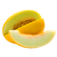 test item