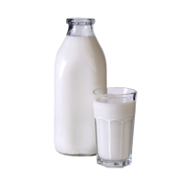 test item