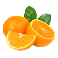 test item