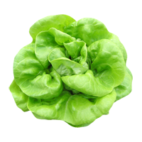 test item