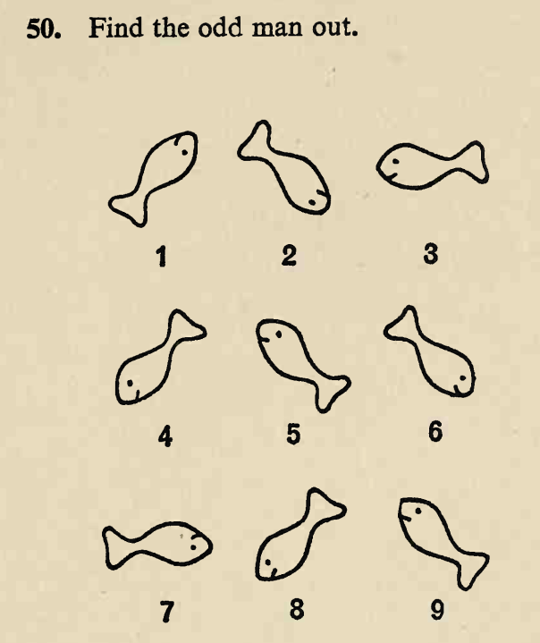 test item