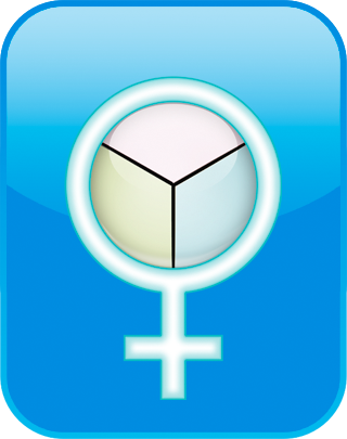 Feminism Test (3 Scale)