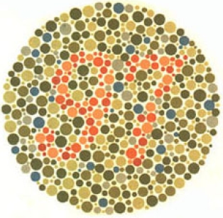 test item