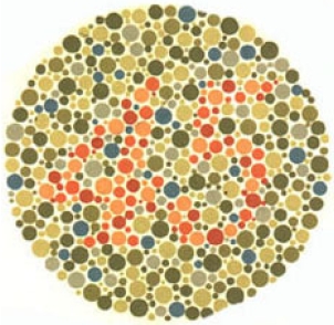 test item