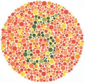 test item