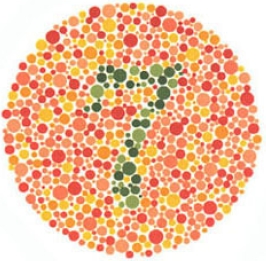 test item