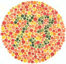 test item