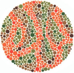 test item