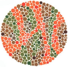 test item