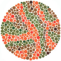 test item