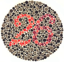 test item