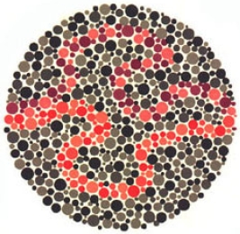 test item