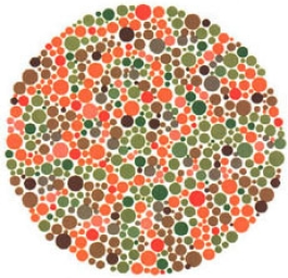 test item