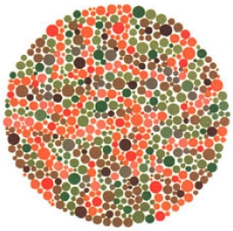 test item