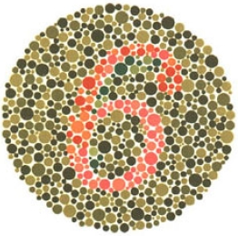 test item