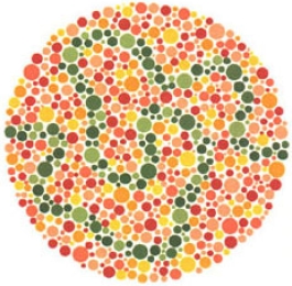 test item