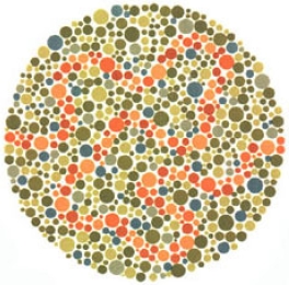 test item