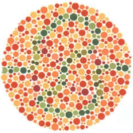 test item