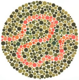 test item