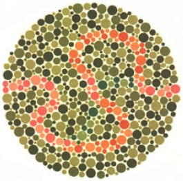 test item