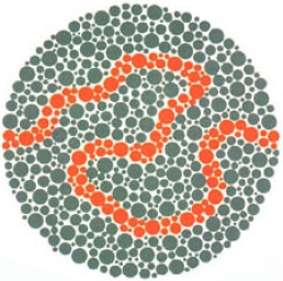 test item