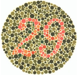 test item