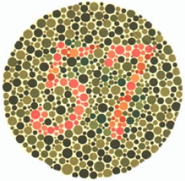 test item