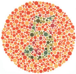 test item