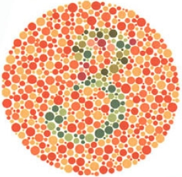 test item