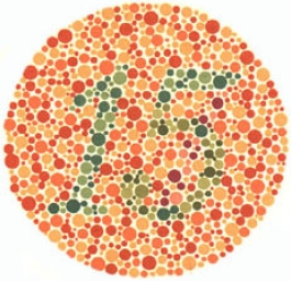 test item