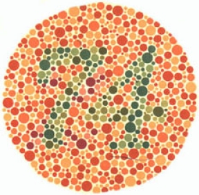test item
