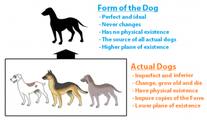 dogs